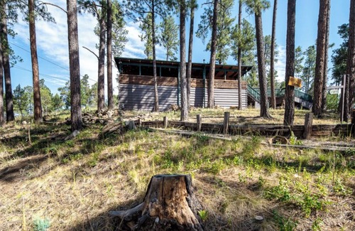 Ruidoso Cabin | Stargazer - Beautiful Cabin - Huge covered decks, hot tub, wildlife