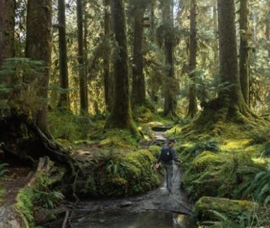 Port Angeles Other | Starlight Olympic Glamping