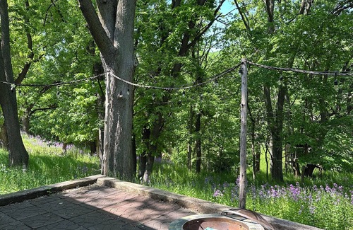 Yankton House | Stay at the Lakehouse! Spacious 5-bedroom home in charming Yankton.