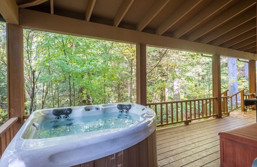 Rhododendron Cabin | Stay before 9/22 get the 3RD night FREE! Hot tub, river access A/C