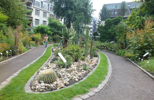 Jewish Quarter House | Stay Close to MoMu Antwerp! 3 Modern Units with City Views, Full Kitchens!