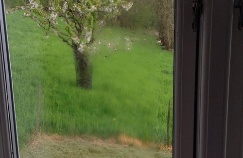 Vejstrup Cottage | Stay idyllically at the old watermill and lake.