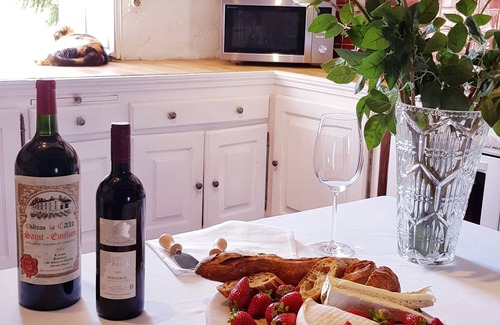 Cuneges House | Stay in 400yrs old Château overlooking vineyards amidst wildlife and tranquility