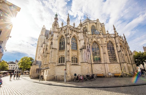 Raamsdonksveer Apartment | Stay in a modern, air-conditioned room with private bathroom and Chromecast TV. Enjoy hotel-style comfort with the bonus of a fully equipped shared kitchen. Perfect for business trips or short getaways in Oss.