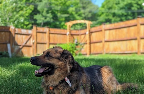 Waterville Apartment | Stay in an historic 1966 deckhouse close to downtown and trails