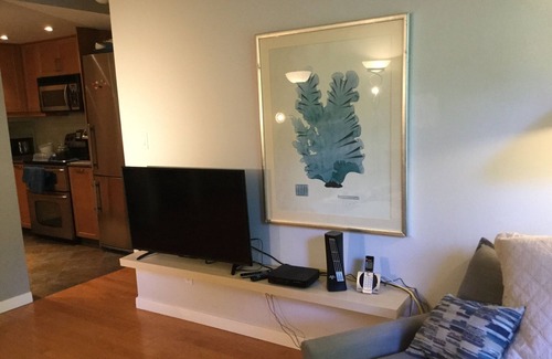Fairview Condo | Stay in Granville Island - central to everything.