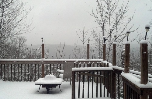 Rocky Grove Cabin | Stay in our private and secluded cabin close to all the Smoky attractions