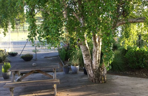Dunedin House | Stay in School by the Sea