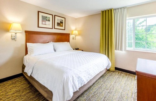 Eden House | Stay in Style and Comfort w/ a Contemporary Vibe