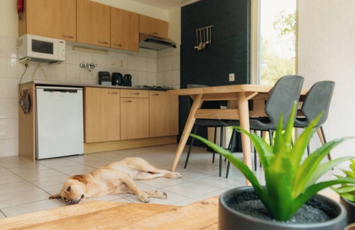 Nieuw Heeten House | Stay in the IJssel Plus bungalow for 4+4 persons at Vakantiepark de Sallandshoeve: the perfect place for a family or friends getaway in Overijssel.