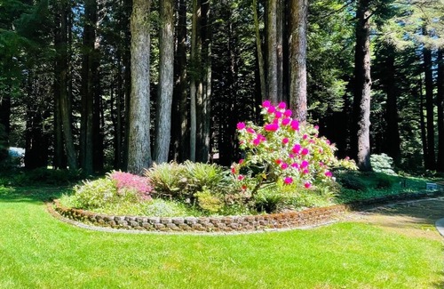 Crescent City House | Stay in your own Redwood Wonderland