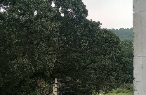 Bullawala House | Stay Unplugged - Bunkk House