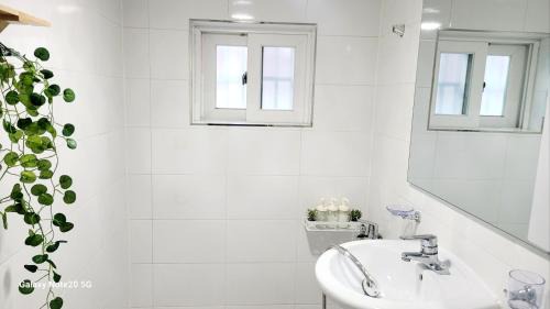 Suyeong-Gu Apartment | Stay Yunseul