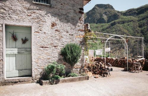 Levigliani Apartment | Stella Alpina Nordic Style and Relax