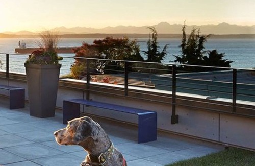 Belltown Apartment | Stellar Bell Town Studio w/Rooftop, nr Dining & Shops, by Blueground