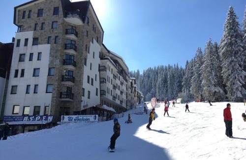 Pamporovo Apartment | Stenata Huge Ski To Door Apartments
