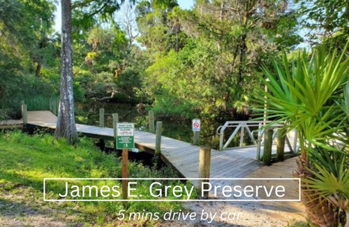 New Port Richey House | Steps to dwnt/7min to beach/queen bed/Free parking