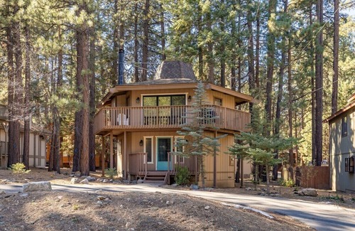 Summit Estates Cabin | Steps to Snow Summit.Updated. Cozy Fireplace. BBQ.