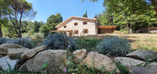 Serravalle Pistoiese Apartment | Stirpe nel Bosco - Fiocco