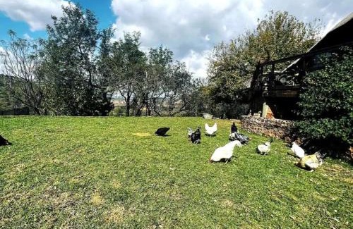Wynberg House | Stone cottage in Haarties