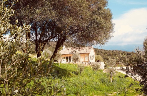Cognocoli-Monticchi House | Stone house in an olive grove 15 minutes from the beach