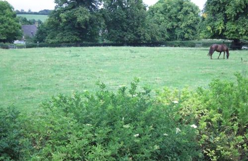 Sulgrave Bed & Breakfast | Stone House