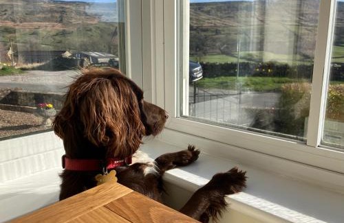 Reeth House | Stony Thwaite