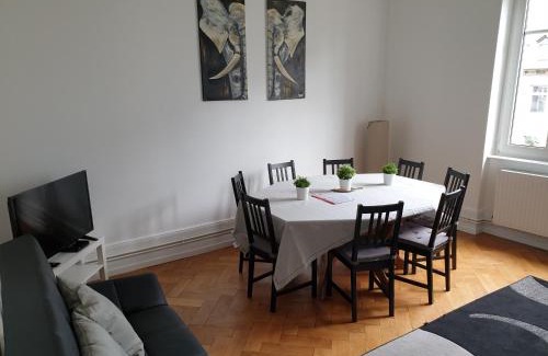 Poincare Apartment | STRASBOURG CENTRE le 85, Superbe F5, 125m2, 5 Pièces