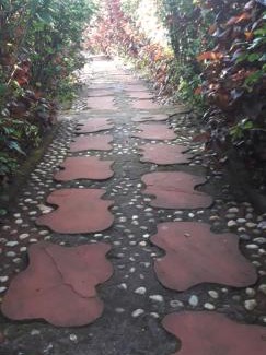 Mahabaleshwar Villa | Strawberry Country