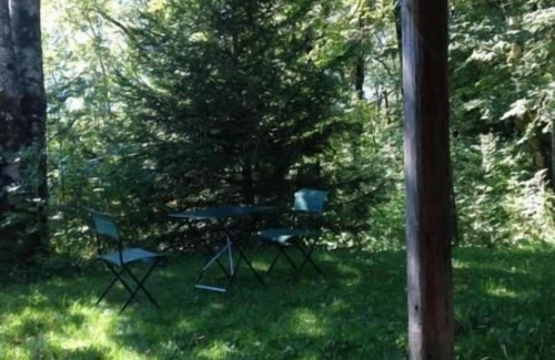 Hohfluh House | Studeweidli 6-bedded apartment