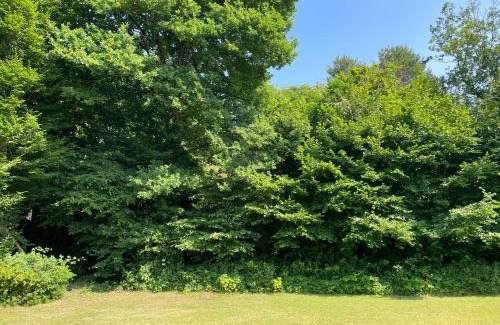 Bouloire House | Studio à la campagne