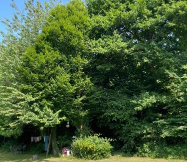 Bouloire House | Studio à la campagne