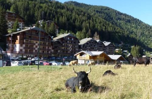 Station de Drouzin le Mont Apartment | Studio à la montagne draps non fournis