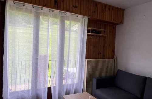 Peone Apartment | studio à valberg idéalement situé et rénové