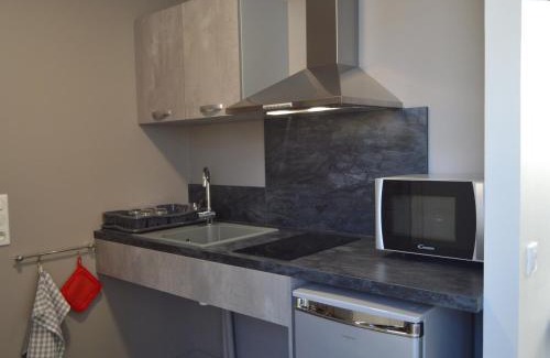 Linge House | Studio écorénové à Lingé avec terrasse et parking, accès mobilité réduite - FR-1-591-189