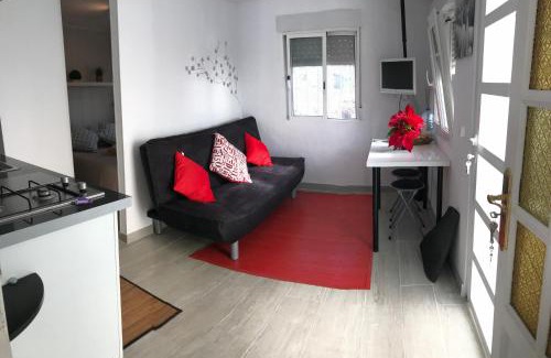 Punta Prieta Apartment | Studio 1 Hab