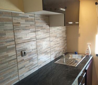 Allerey-sur-Saone Apartment | Studio 2 ou 3 places