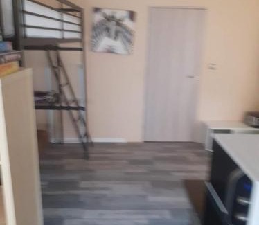 Allerey-sur-Saone Apartment | Studio 2 ou 3 places