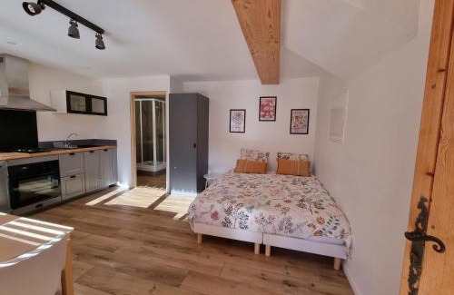 Lathuile Apartment | Studio 2 personnes - lumineux - Lac d'Annecy