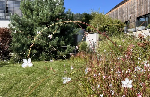 Riquewihr Apartment | Studio 2 persons Aux Vignes Lovées