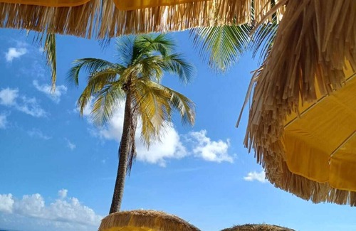 Port-Louis Apartment | STUDIO 200 M FROM THE MOST BEAUTIFUL SOUFFLEUR BEACH IN PORT LOUIS