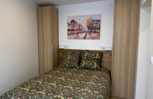 Mont d'Arene Apartment | Studio 24m2 avec parking privé - Lycée Roosevelt - Arena - Gare