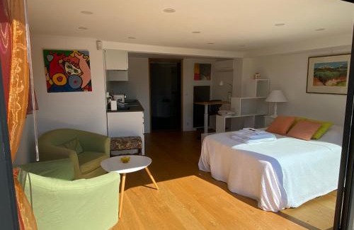 Valbonne Apartment | studio 36m2, dans un beau domaine privée au calme.