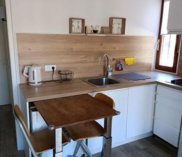 Saint-Etienne-de-Tinee Apartment | Studio 4 couchages