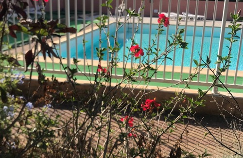 Corse-du-Sud Apartment | Studio 4 people Agosta, swimming pool, beach and shops on foot, 5 min Porticcio