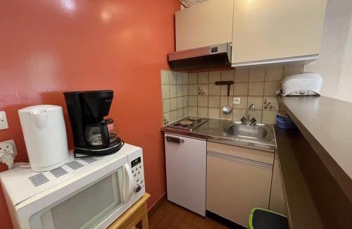 Laveissiere Apartment | Studio 4 pers. avec balcon et casier à skis, au pied des pistes - FR-1-787-45