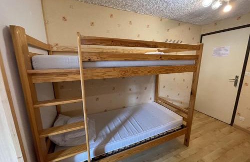 Laveissiere Apartment | Studio 4 pers. avec balcon et casier à skis, au pied des pistes - FR-1-787-45