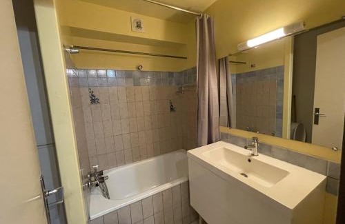 Laveissiere Apartment | Studio 4 pers. avec balcon et casier à skis, au pied des pistes - FR-1-787-45