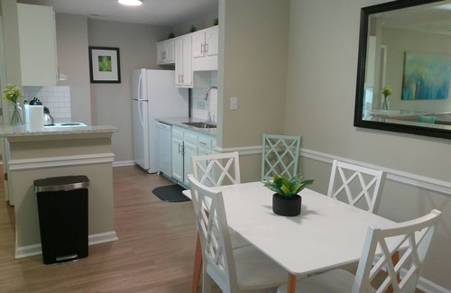 Pine Forest Apartment | Studio 415 ~ Accessible 1st Floor with Self Check-in