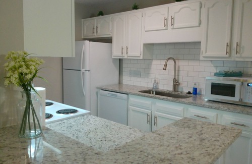 Pine Forest Apartment | Studio 415 ~ Accessible 1st Floor with Self Check-in
